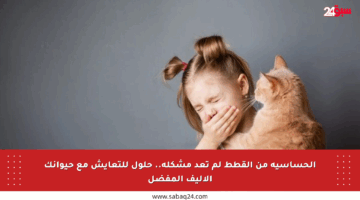 الحساسية من القطط لم تعد مشكلة.. حلول للتعايش مع حيوانك الأليف المفضل
